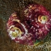 worm_christmas_shag_h_0705_png0931.jpg